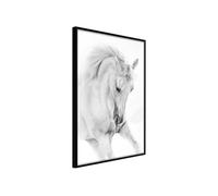 Poster et affiche - Beauty in Motion - 40x60 Artgeist (14406) NOIR