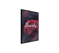Poster et affiche - Beauty of the Flowers - 40x60 (14478)