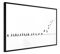 Poster et affiche - Birds on a Wire - 30x20 Artgeist (14916) NOIR G