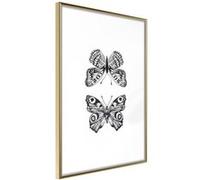 Poster et affiche - Butterfly Collection I - 40x60 (15872)