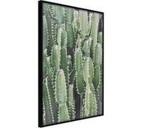Poster et affiche - Cactus Plantation - 40x60 Artgeist (16032) NOIR G