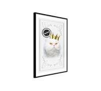 Poster et affiche - Cat Rules II - 40x60 Artgeist (16356) NOIR G