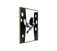 Poster et affiche - Caught in Flight - 40x60 (16412)