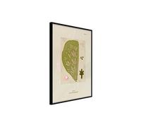 Poster et affiche - Cross Section of a Leaf - 40x60 Artgeist (18108) NOIR
