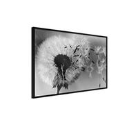 Poster et affiche - Dandelion in the Wind - 30x20 (18558)