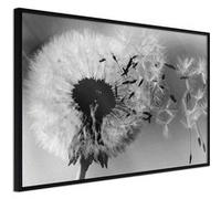 Poster et affiche - Dandelion in the Wind - 60x40 Artgeist (18570) NOIR https://www.fnac.com/mp46789792/Paris-Prix-Affiche-Murale-Encadree-dandelion-In-The-Wind-60-X-40-Cm-Noir/w-4?oref=4d2b6128-aace-8324-02fb-9558323a345c