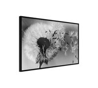 Poster et affiche - Dandelion in the Wind - 90x60 (18576)
