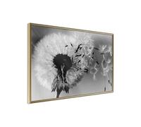 Poster et affiche - Dandelion in the Wind - 90x60 (18578)