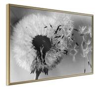 Poster et affiche - Dandelion in the Wind - 90x60 Artgeist (18578) https://www.fnac.com/mp46788379/Paris-Prix-Affiche-Murale-Encadree-dandelion-In-The-Wind-90-X-60-Cm-Or/w-4?oref=cecdd7bb-c250-b530-c833-f32e06ab30e2