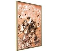 Poster et affiche - Drops on Dandelion - 40x60 Artgeist (19628) G