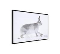 Poster et affiche - Escape in the Snow - 45x30 Artgeist (19914) NOIR