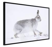 Poster et affiche - Escape in the Snow - 45x30 Artgeist (19914) NOIR
