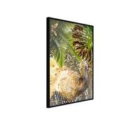 Poster et affiche - Fairy-Tale Peacock in the Jungle - 40x60 Artgeist (20382) NOIR
