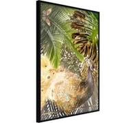 Poster et affiche - Fairy-Tale Peacock in the Jungle - 40x60 Artgeist (20382) NOIR