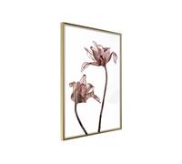 Image encadrée Artgeist Poster et affiche - Flashback of Last Summer - 40x60 (20750)