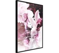 Poster et affiche - Flowers on the Water - 40x60 (21318)