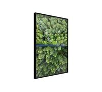 Poster et affiche - Forest from a Bird's Eye View - 40x60 (21612)