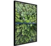 Poster et affiche - Forest from a Bird's Eye View - 40x60 (21612)