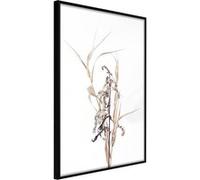 Poster et affiche - Found on the Field - 40x60 (21702)