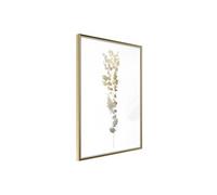 Poster et affiche - Fragment of Nature - 40x60 (21776)