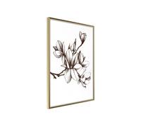 Poster et affiche - Fragrant Decoration - 40x60 Artgeist (21794)