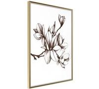 Poster et affiche - Fragrant Decoration - 40x60 Artgeist (21794) G