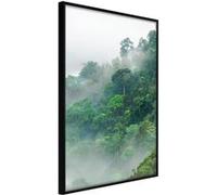 Poster et affiche - Green Lungs of the Earth II - 40x60 Artgeist (23106) NOIR