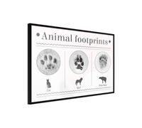 Poster et affiche - How to Recognize an Animal - 90x60 Artgeist (23922) NOIR