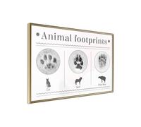 Poster et affiche - How to Recognize an Animal - 90x60 (23924)