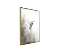 Poster et affiche - Hummingbird in Shades of Grey - 40x60 (23942)