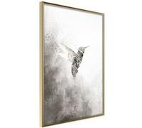 Poster et affiche - Hummingbird in Shades of Grey - 40x60 Artgeist (23942) G