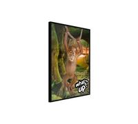 Poster et affiche - Life in the Jungle - 40x60 Artgeist (25428) NOIR