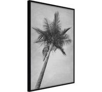 Poster et affiche - Memories from the Paradise - 40x60 Artgeist (26742) NOIR
