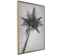 Poster et affiche - Memories from the Paradise - 40x60 Artgeist (26744)