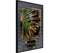 Poster et affiche - Monstera in the Frame - 40x60 Artgeist (27096) NOIR