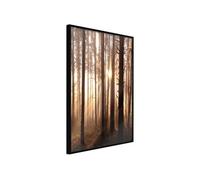 Poster et affiche - Morning in the Forest - 40x60 Artgeist (27258) NOIR