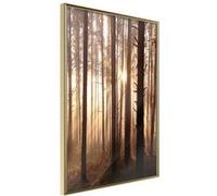 Poster et affiche - Morning in the Forest - 40x60 (27260)