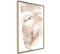 Poster et affiche - Mysterious Look (Beige) - 40x60 Artgeist (27494) Beige G