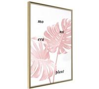 Poster et affiche - Pale Pink Monstera - 40x60 Artgeist (28502)