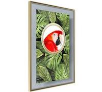 Poster et affiche - Parrot Says Hi - 40x60 (28610)