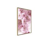 Poster et affiche - Path Paved with Flowers - 40x60 (29048)