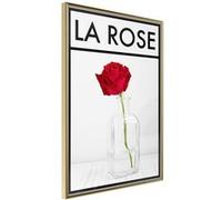 Poster et affiche - Rose in the Vase - 40x60 (31382)