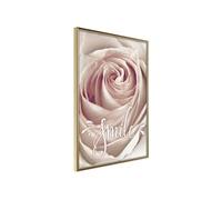 Poster et affiche - Rose with a Message - 40x60 (31418)