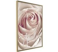 Poster et affiche - Rose with a Message - 40x60 (31418)