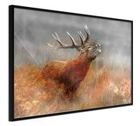 Poster et affiche - Rut - 45x30 Artgeist (31524) NOIR G