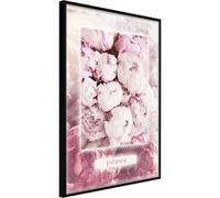 Poster et affiche - Scent of Peonies - 40x60 (31698)