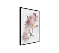 Poster et affiche - Scent of Spring - 40x60 (31716)