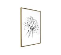 Image encadrée Artgeist Poster et affiche - Sketch of Lillies - 40x60 (32444)