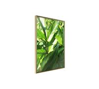 Poster et affiche - Somewhere in the Garden - 40x60 Artgeist (32708)