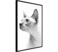 Poster et affiche - Sphinx - 40x60 Artgeist (32886) NOIR G